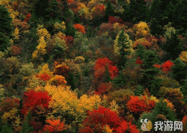 微博桌面截图_20120815082303.gif