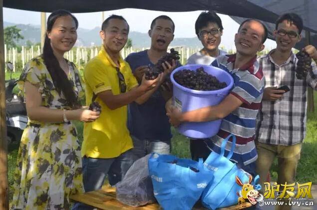 QQ截图20160704210415.jpg
