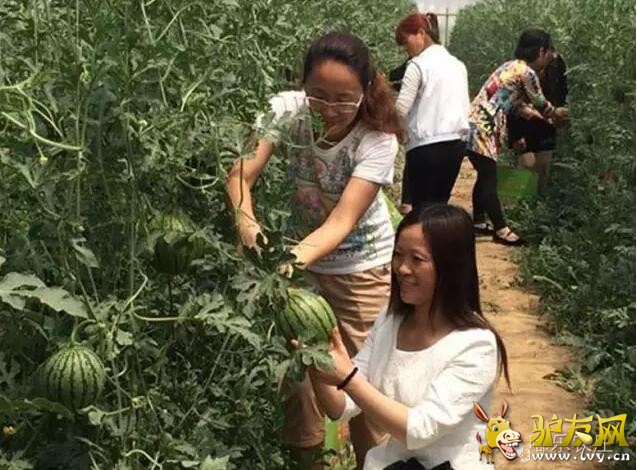 QQ截图20160704210453.jpg