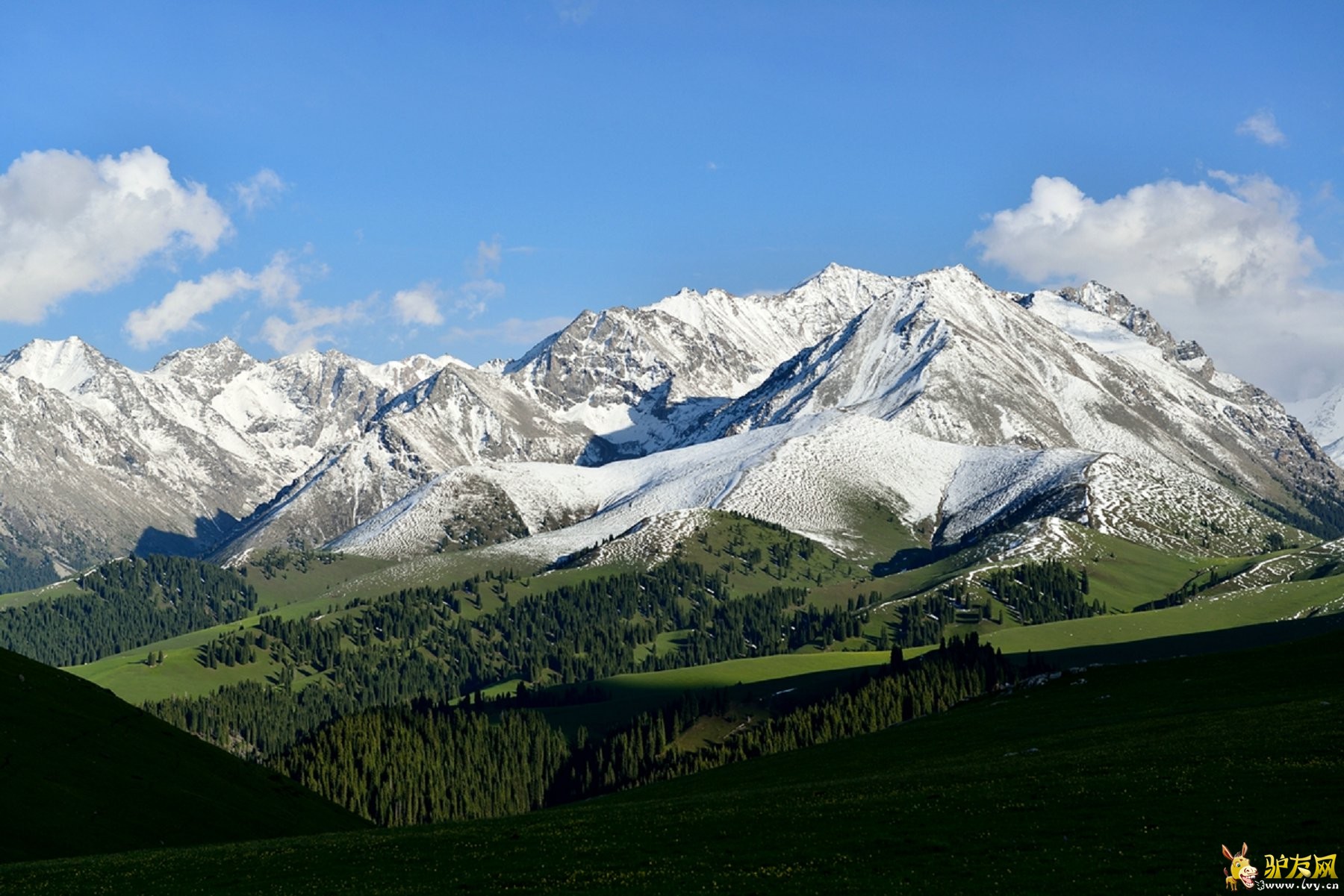 129--雪山.jpg